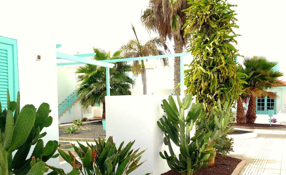 Smy Tahona Fuerteventura Hotel Caleta De Fuste Buitenkant foto